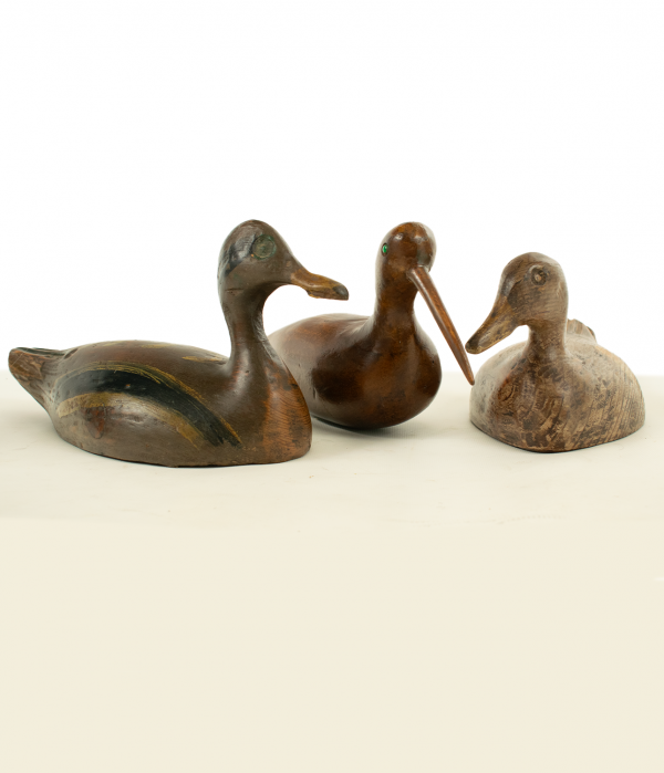 Trio de deux canards et un courlis - d'anciens leurres