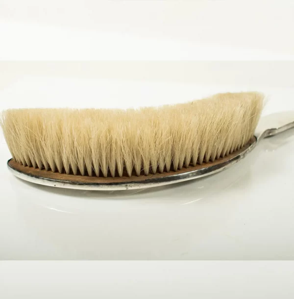 French ART NOUVEAU Silver-Plated Crumb Brush and Pan Set by Victor Saglier - Image 9