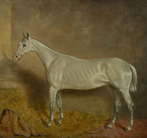 J Truman, dated 1870, Portrait of a White Horse in its Stable, Signed - Image 3