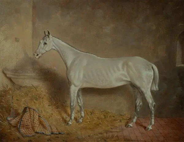J Truman, dated 1870, Portrait of a White Horse in its Stable, Signed - Image 2